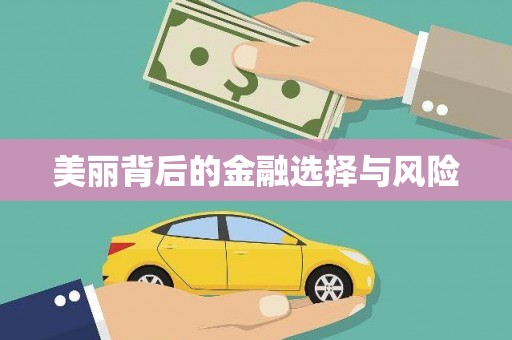 四川美丽背后的金融选择与风险