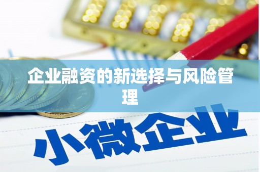 四川企业融资的新选择与风险管理