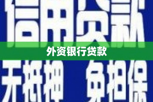 四川外资银行贷款