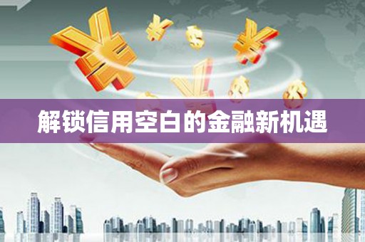 四川解锁信用空白的金融新机遇