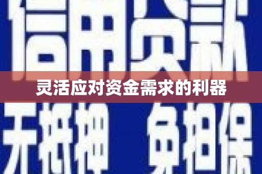 四川灵活应对资金需求的利器